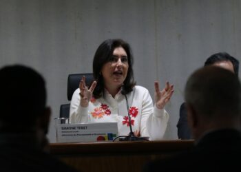 Tebet garante aumento do salário mínimo acima da inflação em 2024