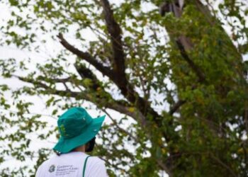 Confira o resultado preliminar do Programa AJA 2023