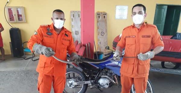 Corpo de Bombeiros do Ceará encerra 1º quadrimestre com aumento de 13% em resgate de animais