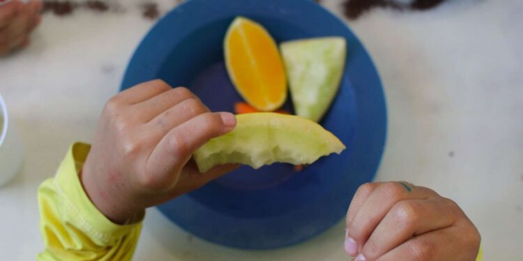 Com Mais Nutrição, Ceará tornou-se referência no combate à fome