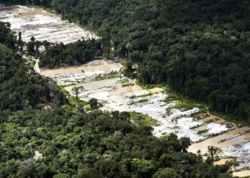 Força-tarefa destrói dez garimpos ilegais na Amazônia