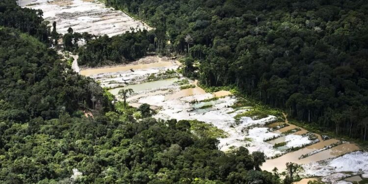 Força-tarefa destrói dez garimpos ilegais na Amazônia