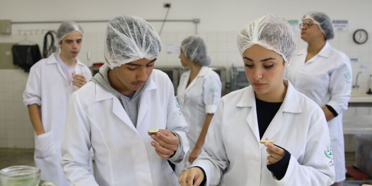 Pesquisa defende expansão dos cursos técnicos no Brasil