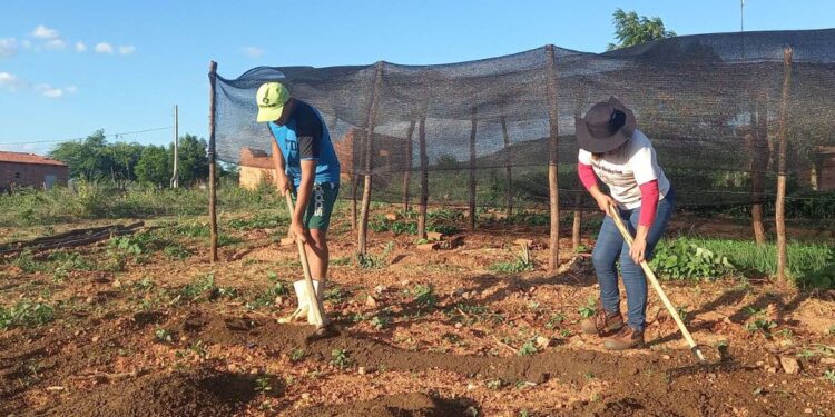 Trabalhadores pedem redução de juros para produzir alimentos no Brasil
