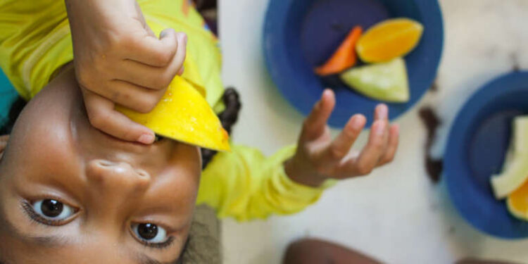 Combate à fome: Ceará articula adesão dos 184 municípios ao Sistema de Segurança Alimentar e Nutricional