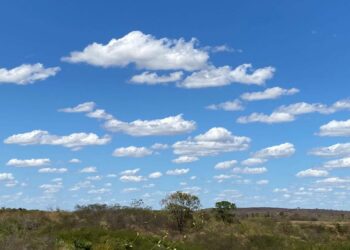 Semana segue com condições estáveis, máximas até 38°C e rajadas de cerca de 50 km/h