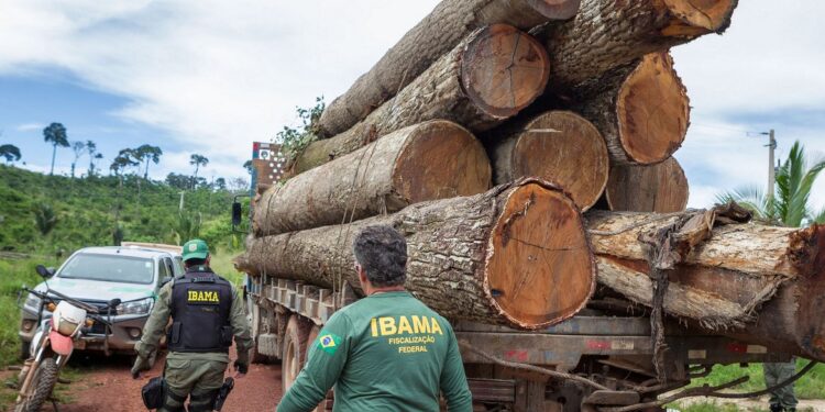 Governo autoriza contratação de 257 servidores para o Ibama