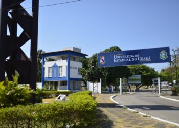 Uece é a melhor universidade estadual no Norte e Nordeste na área Ambiente de Pesquisa segundo o THE World University Rankings