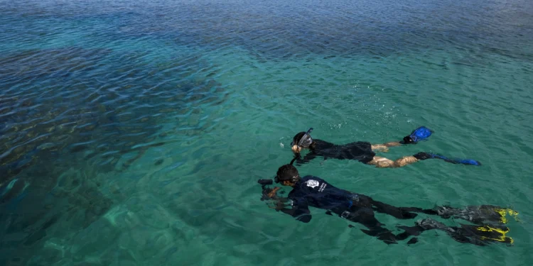 Cientistas propõem criação de Área de Proteção Ambiental entre Noronha e Ceará