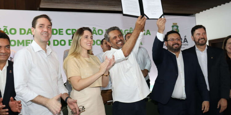 Governo do Estado cria Agência de Fomento e libera R$ 60 milhões para o Ceará Credi