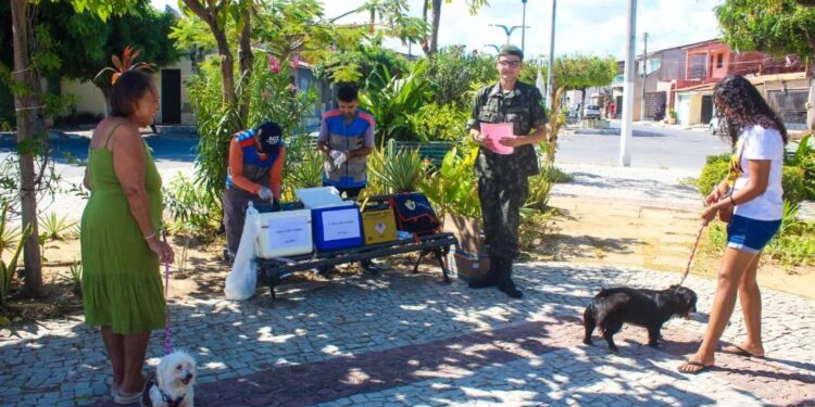 Aracati realizou Dia D de Vacinação Antirrábica neste sábado