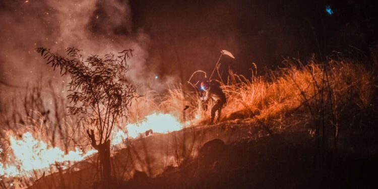 Incêndios em vegetações no Ceará têm aumento de 47% em 2023