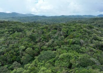 Em 2023, Governo do Ceará reconhece mais quatro Reservas Particulares do Patrimônio Natural