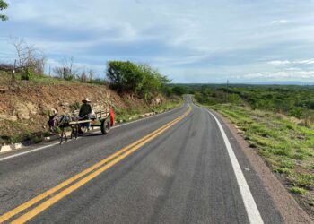 Previsão indica maior probabilidade de precipitações abaixo da média no Ceará