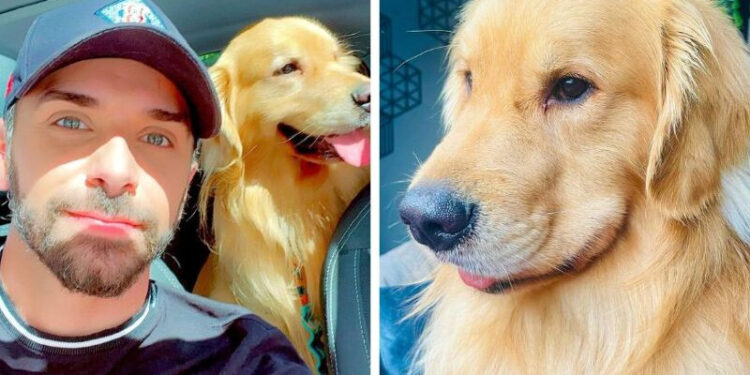 Ministério da Justiça cobra da Gol explicações sobre morte de cachorro em voo