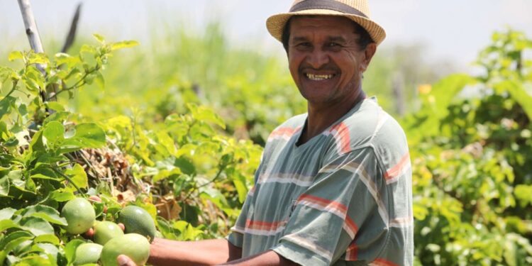 Aracati é contemplado com Plano Safra