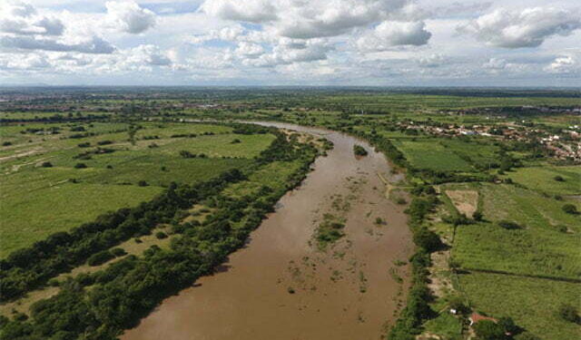 Com um investimento de R$ 2.8 milhões, Rio Jaguaribe receberá projeto de reflorestamento