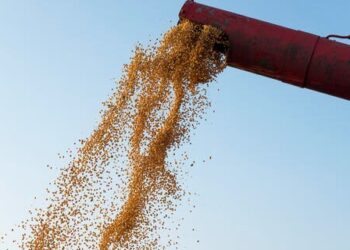 Agro: foram registradas 11,8 mil novas vagas em abril, aponta CNM