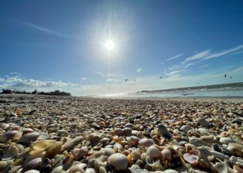57 pontos estão próprios para banho no estado do Ceará