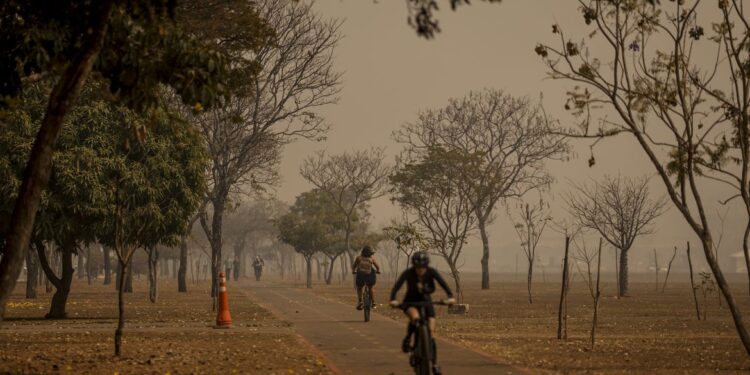 Como se proteger da fumaça provocada pelas queimadas?