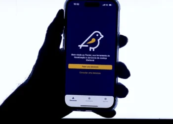 Eleitores podem denunciar irregularidades pelo aplicativo Pardal