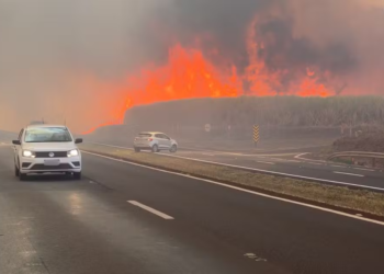 INCÊNDIOS-SP: Quase 50 cidades de SP estão com alerta para queimadas