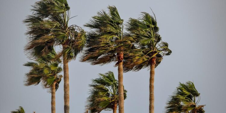 Ceará tem previsão de rajadas de vento entre 60 e 70 km/h até sexta (30)