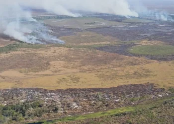 Emissão de gases por incêndios é recorde em dois estados