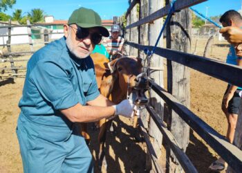 Adagri anuncia concurso público com 120 oportunidades para níveis médio e superior, oferecendo salários de até R$ 11 mil.