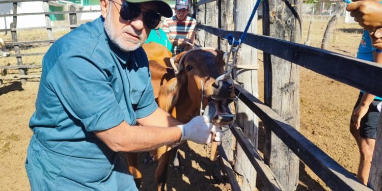 Adagri anuncia concurso público com 120 oportunidades para níveis médio e superior, oferecendo salários de até R$ 11 mil.