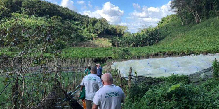 Ceará confirma casos de febre oropouche em 7 cidades