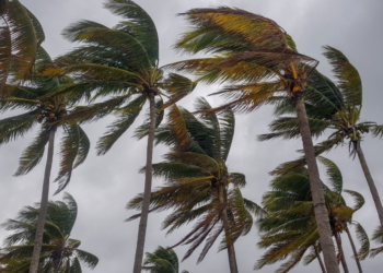 Previsão alerta para vendaval no Ceará nesta quarta-feira