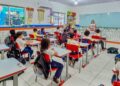 Professor: o profissional que ensina e aprende todo dia