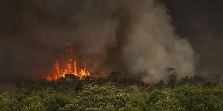 Brasil tem 22,38 milhões de hectares atingidos pelo fogo em nove meses