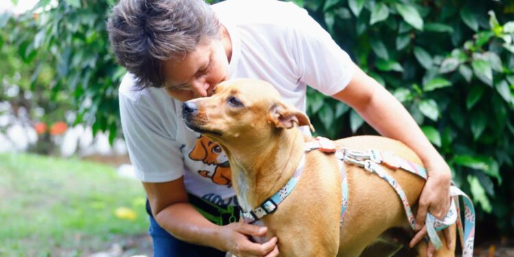 Governo abre inscrições para o programa Capacita com foco em proteção animal