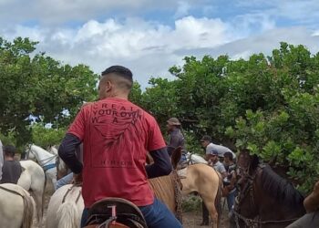 V Pega de Boi no Mato no Baixio, em Aracati, acontece neste domingo