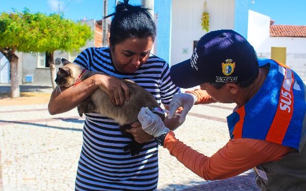 Aracati realiza hoje Dia D de Vacinação Antirrábica