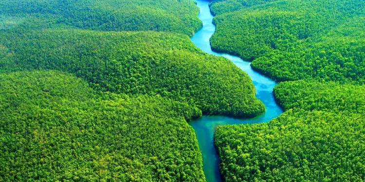 Brasil pode ter primeiro corredor verde fluvial na Amazônia até 2027