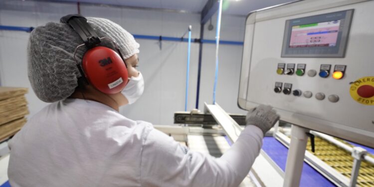 Atividade econômica no Ceará cresce 2,4% no início de 2025