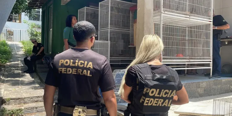Idade para aposentadoria de mulheres policiais pode ser mudada