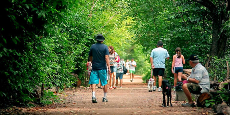 Parque Estadual do Cocó, em Fortaleza, é o mais visitado do Brasil