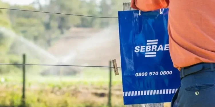 Sebrae Ceará abre seleção para agente rural com bolsa de até R$ 6,5 mil