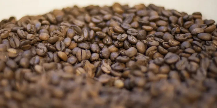 Governo reprova três marcas de café por serem impróprias para consumo