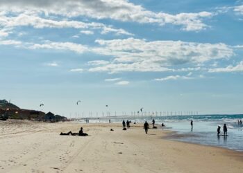 Precisamos cuidar dos Oceanos e parar com ações que afetem os ecossistemas marinhos e costeiros