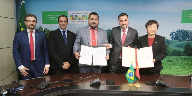 Pescados de 37 espécies de peixes brasileiros poderão ser exportados à China