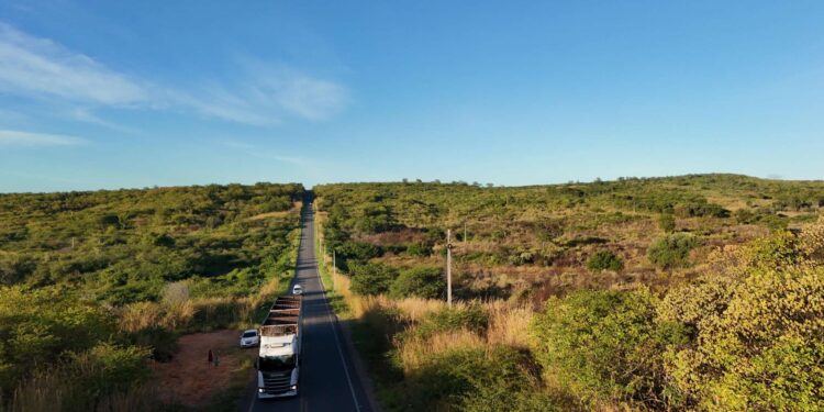 Ceará inicia a semana com predomínio de céu sem nuvens
