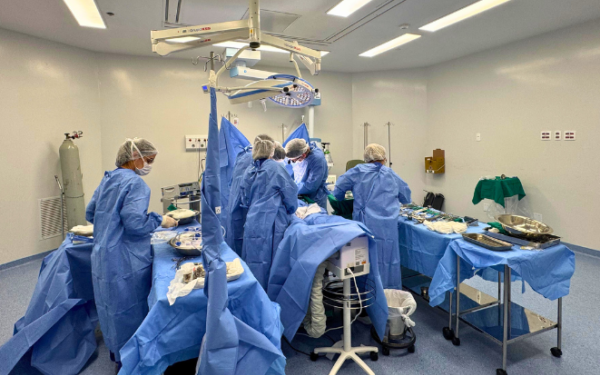 Hospital Regional Vale do Jaguaribe capta sete órgãos em 48h para transplantes em Fortaleza e Porto Alegre