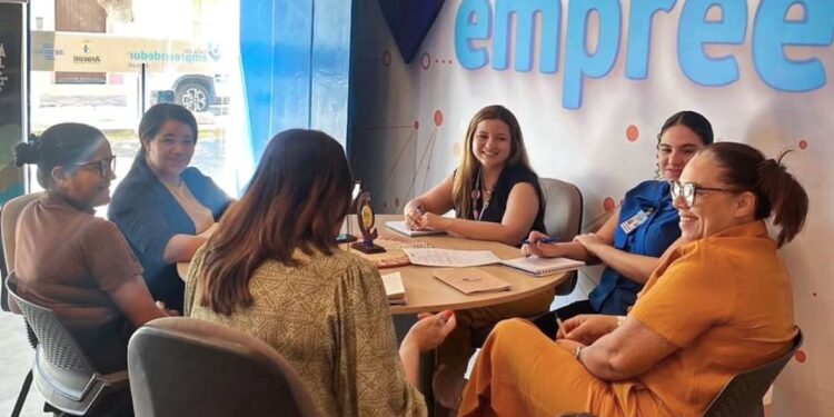 Empreendedorismo feminino: crédito é uma das principais demandas