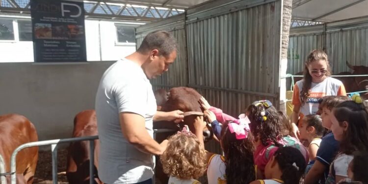 Feira da Agricultura Familiar no Largo da Matriz