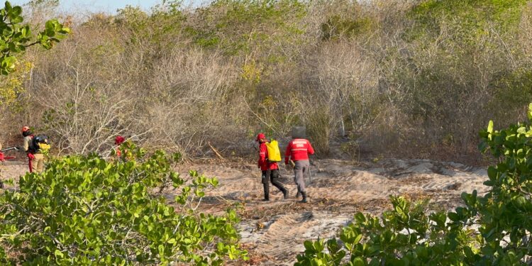 Corpo de Bombeiros de Aracati compartilha dicas para evitar incêndios florestais e queimadas